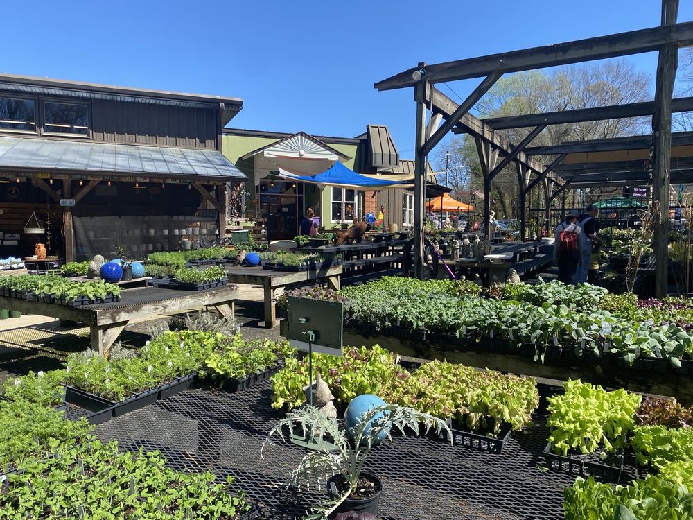 INTOWN ACE HARDWARE 1404 Scott Blvd, Decatur, Updated