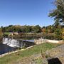 Photo of Paradise Pond