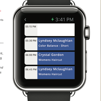 SalonBiz - View your book with the Apple Watch Stylist App - Software Development Near Me - Hammond, Louisiana SalonBiz - View your book with the Apple Watch Stylist App - Software Development Near Me - Hammond, Louisiana