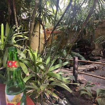 La Cueva del Chango - Eastern Mexican Near Me - Playa del Carmen, ROO