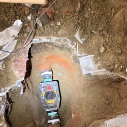 Raccoon Plumbing