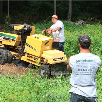 ExteriorScapes - Stump grinding and removal - Tree Services Near Me ExteriorScapes - Stump grinding and removal - Tree Services Near Me