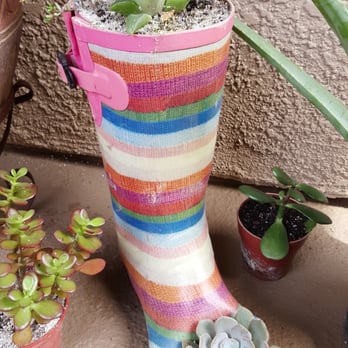 Exotic Gardens - Nurseries & Gardening Near Me - El Cajon, California
