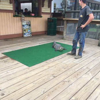 Gator Golf - Mini Golf Near Me - Orlando, Florida