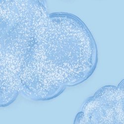 Bannon Creek School - Bubbles