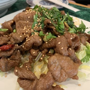 Aries Noodle & Dumpling - Sauteed Lamb with Cumin - Chinese Near Me - Waltham, Massachusetts
