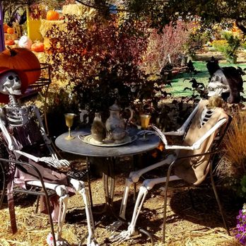 Viola's Flower Garden - A spooky tea party! - Nurseries & Gardening Near Me - Flagstaff, Arizona Viola's Flower Garden - A spooky tea party! - Nurseries & Gardening Near Me - Flagstaff, Arizona