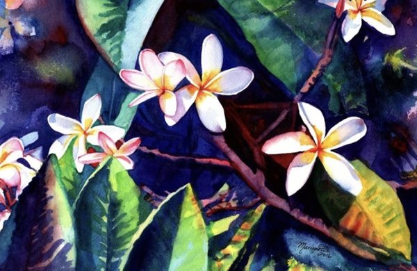 Apache Landscape Center