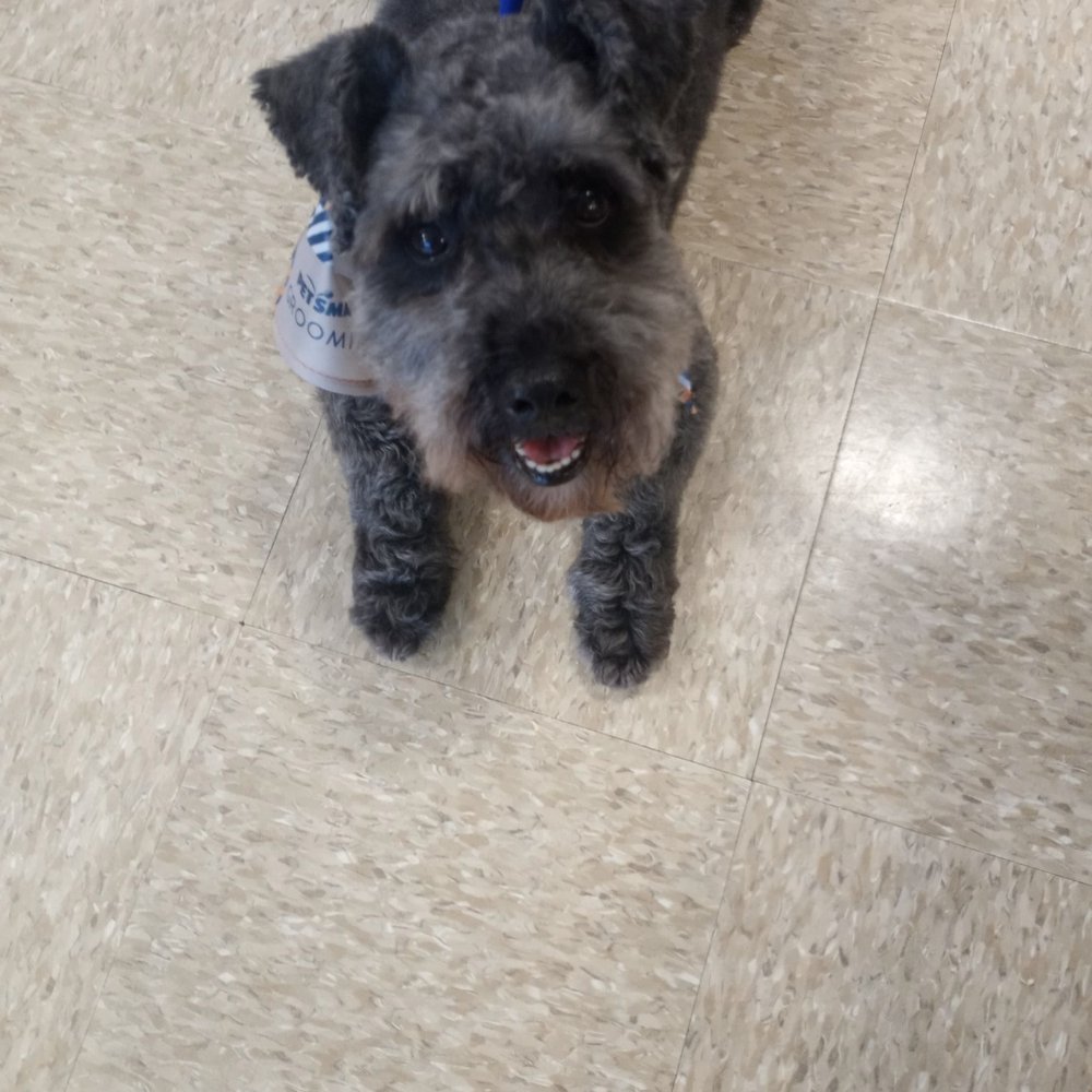 Petco - Pet Training Near Me - Vero Beach, Florida Petco - Pet Training Near Me - Vero Beach, Florida