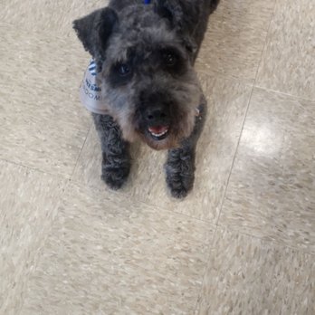 Petco - Pet Training Near Me - Vero Beach, Florida