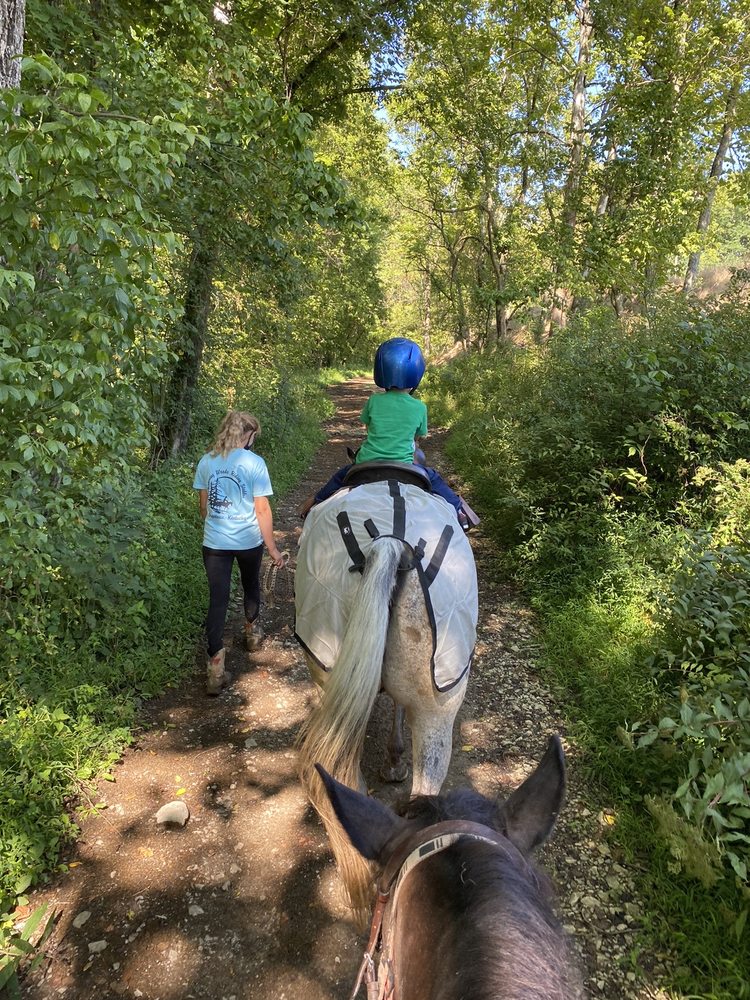 WHISPERING WOODS RIDING STABLES 29 Photos & 35 Reviews 265 Wright