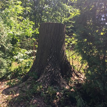 Baird's Tree Service - Tree Services Near Me - Canfield Ohio, Ohio