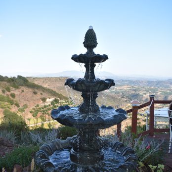 Newton Avocado Manor - Session Photography Near Me - Temecula, California