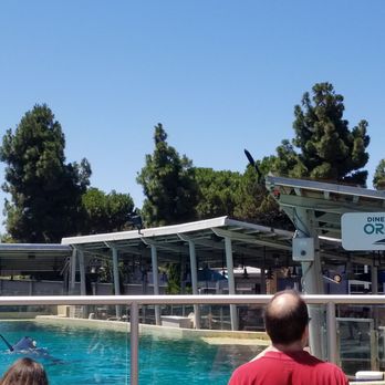 Dine With Orcas - Buffets Near Me - San Diego, California Dine With Orcas - Buffets Near Me - San Diego, California