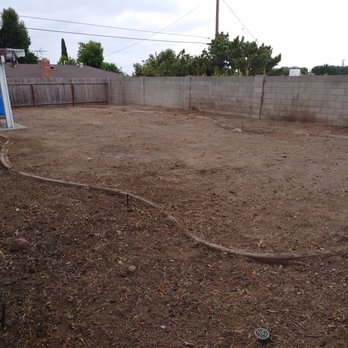 AMDM Tree Service - Landscaping Near Me - Anaheim, California