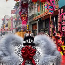Lion Dance Me