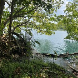 Cenote Azul - Cenote