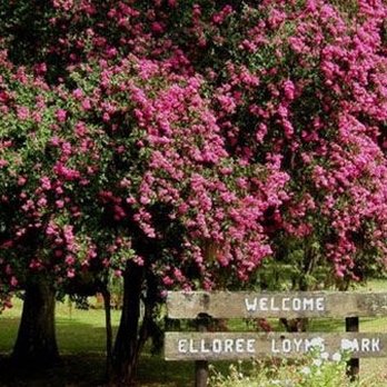 Loyns Park - Parks Near Me - Elloree, South Carolina Loyns Park - Parks Near Me - Elloree, South Carolina