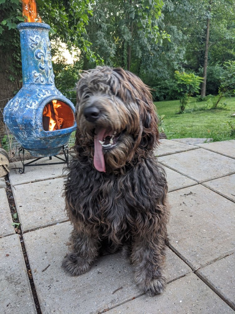 COMB & COLLAR Updated June 2024 30 Photos 6802 Ringgold Rd