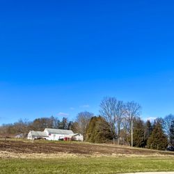 Orchard Hill Farm