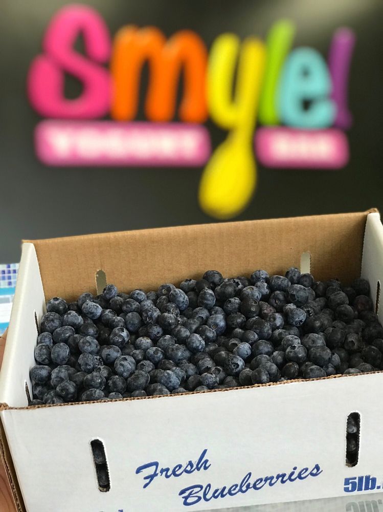 SMYLE YOGURT BAR Updated October 2024 88 Photos & 26 Reviews 2620