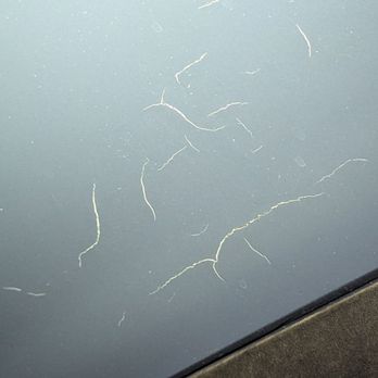 Prius Connection - Used Car Dealers Near Me - Reseda, California