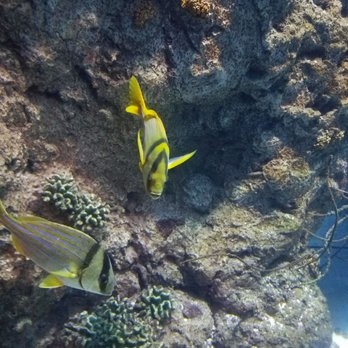 Downtown Aquarium - Museums Near Me - Denver, Colorado