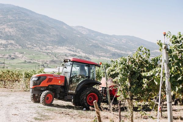 Stoneboat Vineyards by null