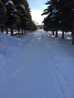 Makomanai Park by null