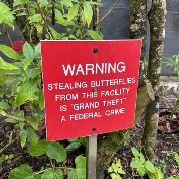 Butterfly World - They take it serious here. You aren't even allowed to touch them unless they land on you! - Botanical Gardens Near Me - Coconut Creek, Florida