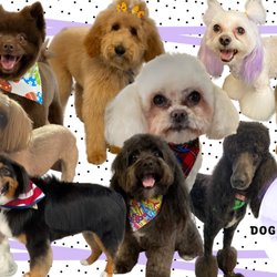 Doggy Darlings