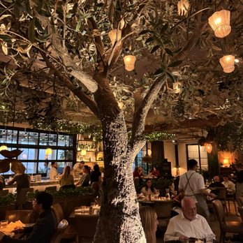 Aba - Mediterranean Near Me - Chicago, Illinois
