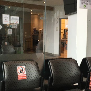 Lingerie Marietta - Sitting area well organized during covid  In the back there is a pet store - Emergency Pet Hospital Near Me - Laval, Quebec