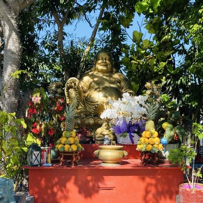Chua Dieu Ngu Buddhist Temple by null