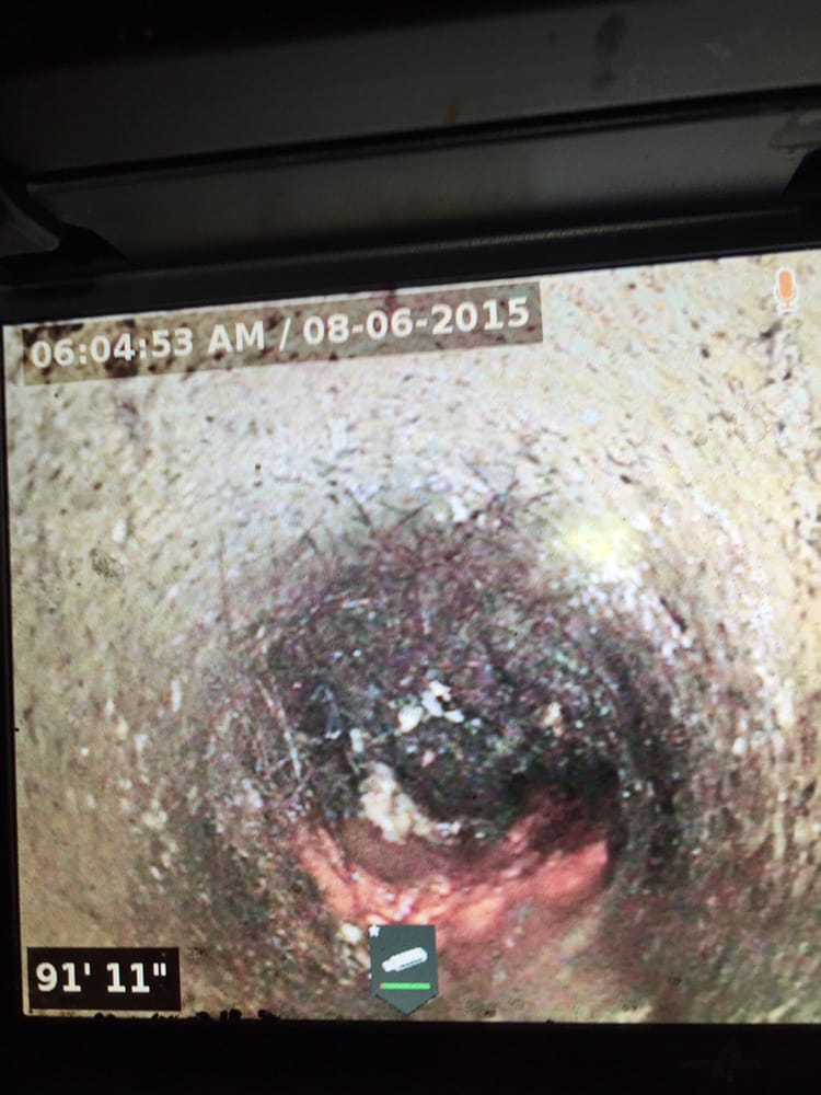 Slide of The Drain King