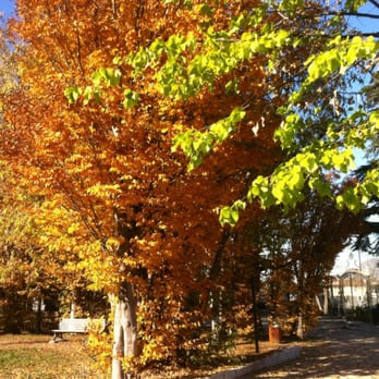 Parc de la Mathilde - C beau la fin de l'automne - Parks Near Me - Marseille, 13