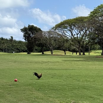 Bayview Golf Course - Tee box - Golf Near Me - Kaneohe, Hawaii Bayview Golf Course - Tee box - Golf Near Me - Kaneohe, Hawaii