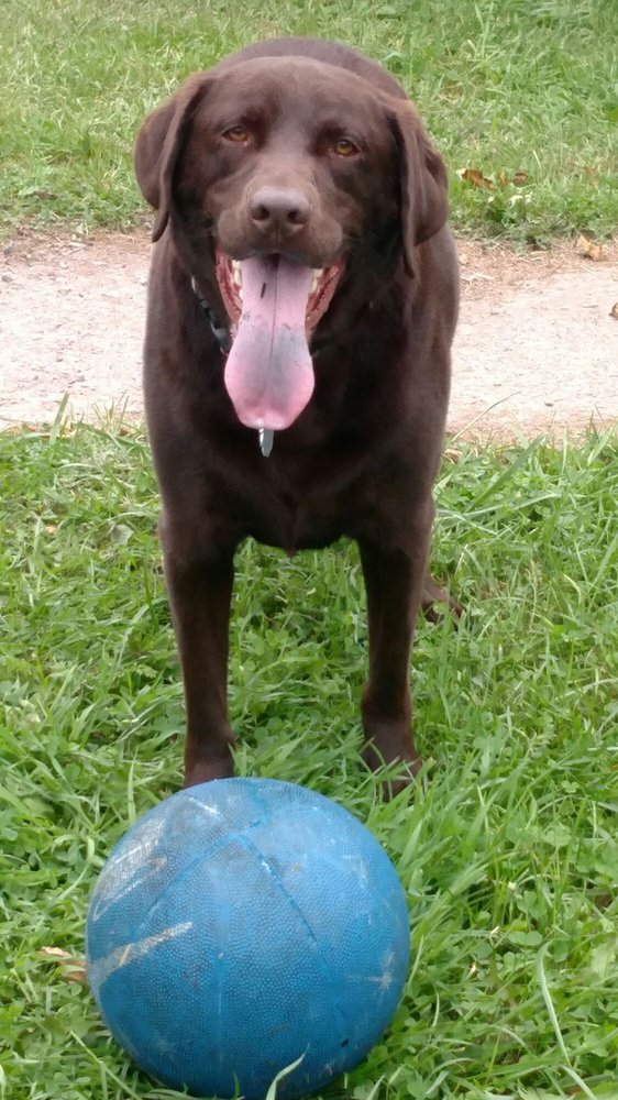 ROSEBIRD VETERINARY CENTER Updated September 2024 204 Thomas St