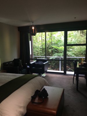 Legacy Te Waonui Hotel Franz Josef by null