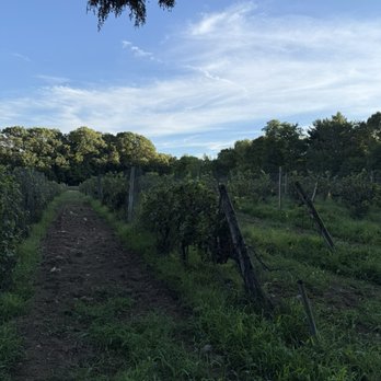 Diamond Hill Vineyards - Wineries Near Me - Cumberland, Rhode Island Diamond Hill Vineyards - Wineries Near Me - Cumberland, Rhode Island