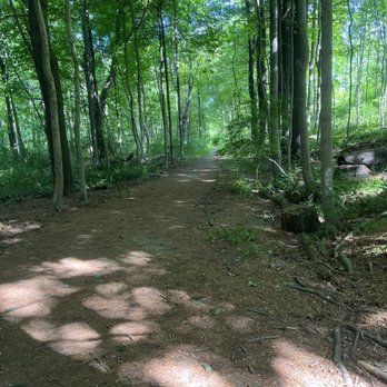 Bennets Pond - Beginning - Mountain Biking Near Me - Ridgefield, Connecticut
