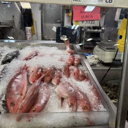 Whole Red Snapper Whole Red Snapper