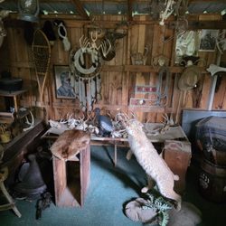 Wild West City - Woodmans cabin