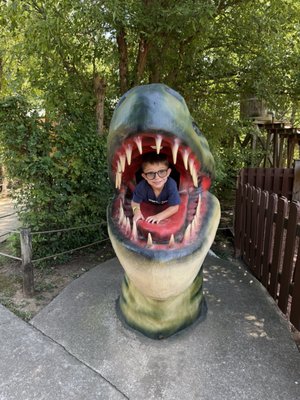 Dinosaur World by null
