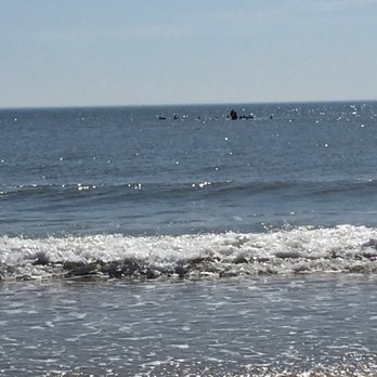 False Cape State Park - Calithyia shipwreck - Parks Near Me - Virginia Beach, Virginia