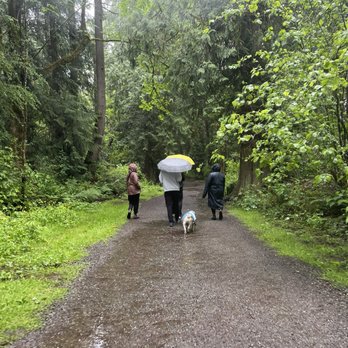 Timberlake Park - Parks Near Me - Issaquah, Washington