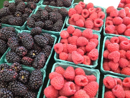 Downtown Oxnard Farmers Market by null