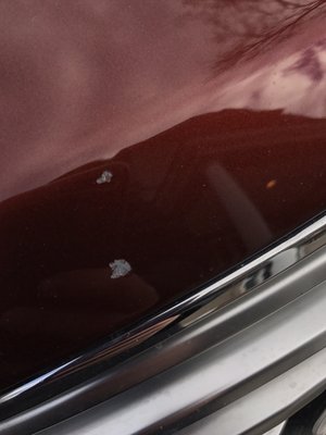 Carol's Car & Van Full Service Wash