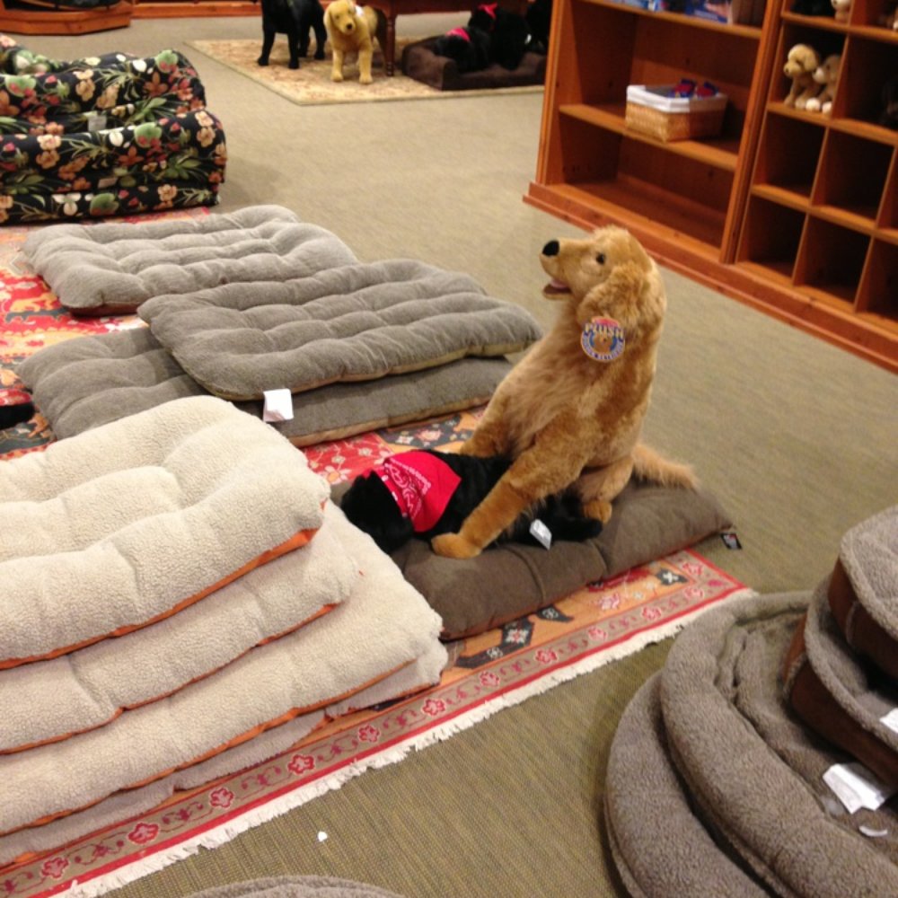 Orvis - Men's Clothing Near Me - Williamsville, New York Orvis - Men's Clothing Near Me - Williamsville, New York