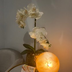 Neapolitan Spa - Amazing zen vibe